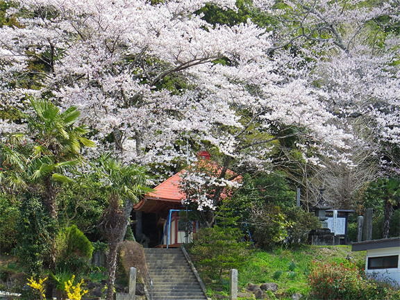 浄泉寺